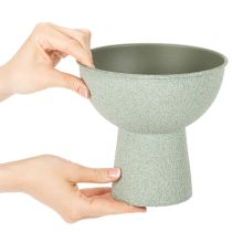 Article Pot de fleurs rond moderne sur un socle haut, 18 cm