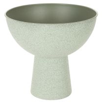 Article Bol décoratif avec support pour plantes, 25 cm
