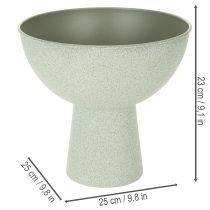 Article Bol décoratif avec support pour plantes, 25 cm