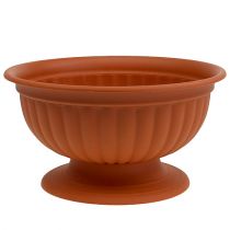Article Bol avec base en terre cuite Ø35cm
