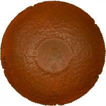 Article Bol décoratif en métal, bol décoratif à l'aspect rustique, Ø30cm H8.5cm