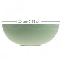 Article Bol déco plastique vert pastel déco de table printemps Ø20cm