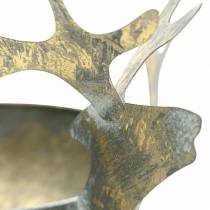 Article Bol avec tête de renne métal doré aspect antique Ø14cm