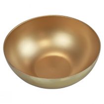 Article Bol décoratif bol doré plastique mat brillant Ø20cm H7cm