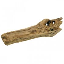 Bol décoratif en bois de Paulownia, plateau de fleurs, récipient en bois L58cm H7–8cm