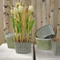 Article Pot de fleurs en métal avec anses vert, blanc, gris L24cm H14,5cm 3pcs