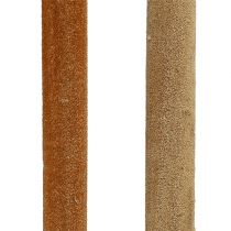 Article Mélange de bulbes de roseaux roseaux décoratifs naturels 70cm 100 pcs