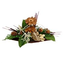 Article Epis de roseau naturels Rouge bruyère Tailles diverses 100pcs