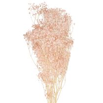 Article Décoration Gypsophile Herbes Séchées Orange Pêche 65-70cm 100g