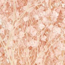 Article Décoration Gypsophile Herbes Séchées Orange Pêche 65-70cm 100g