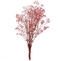 Article Gypsophile Gypsophile Fleurs Séchées Rouge 50cm 55g