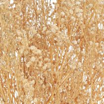 Article Gypsophile Pensée Gypse Herbe Fleurs blanches 50cm 55g