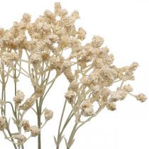 Article Gypsophile Artificielle Crème Gypsophile 46cm bouquet de 3 pièces