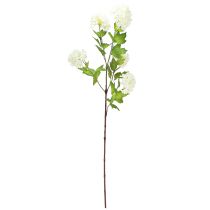Article Branche de viorne artificielle boule de neige fleurs blanches L90cm