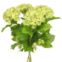Article Boule de neige fleurs artificielles Viburnum artificiel vert 61cm 4 pcs