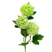 Article Boule de neige artificielle verte 65cm 2pcs