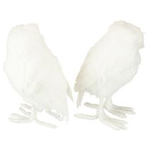 Article Chouette décorative blanche en fourrure et plumes, 15,5 cm, lot de 2
