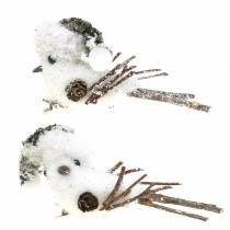 Oiseau des neiges sur le clip 8cm x 6.5cm 6pcs