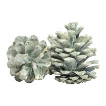 Article Pommes de pin noires décoration naturelle givrée verte 5–7cm 1kg