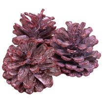 Pommes de pin noires décoration naturelle rouge dépolies 5–7cm 1kg