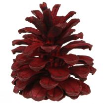 Article Pommes de pin noires Cônes décoratifs bordeaux rouges 6-8cm 6 pcs