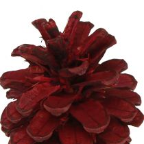 Article Pommes de pin noires Cônes décoratifs bordeaux rouges 6-8cm 6 pcs