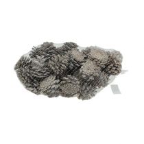 Article Pommes de pin noir 5-9cm Cônes blanchies 1kg