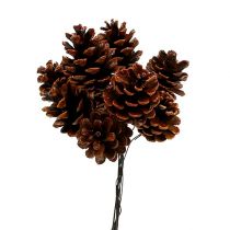 Article Pommes de pin noir cirées sur fil de fer 200 pièces