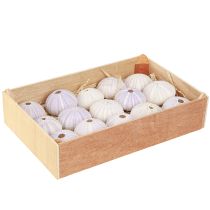 Article Boyau de coquille d'oursin en blanc-violet Ø4-6cm 12 pcs