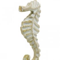 Hippocampe en bois, décoration maritime, figurine décorative animal marin couleur naturelle, blanc H35cm