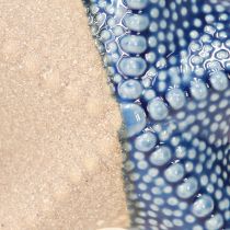 Article Étoile de mer Porcelaine Sable Bleu Décoration de Table Maritime Ø15cm 2pcs