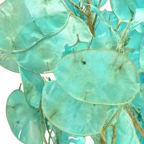 Article Feuille d&#39;argent séchée violette lunaire Lunaria bleu clair 65-70 cm 20 g
