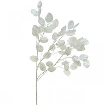 Article Branche décorative feuille d&#39;argent branche Lunaria blanche branche artificielle 70cm