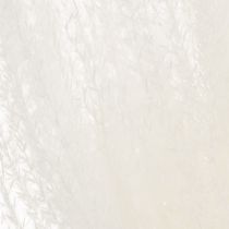 Article Fleurs séchées, graminées argentées. Décoration naturelle élégante pour la maison et le bureau. 70 cm, 10 pièces.