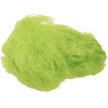 Herbe décorative sisal vert printemps 300g