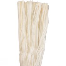 Ruban squelette en fibres naturelles végétales ruban naturel décoration 180g