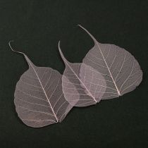 Article Feuilles squelettes Feuilles Bodhi squelettisées violettes 5-15 cm 200 pièces