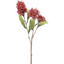 Article Skimmie Skimmia Japonica Fleurs Artificielles Bordeaux DryLook L59cm