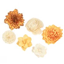 Article Sola fleurs en bois fleurs décoratives en bois mélange orange 6-11cm 12-15 pcs