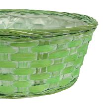 Article Bol à chips rond multicolore Ø25cm 6 pcs