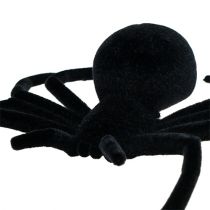 Araignée noire 16 cm floquée