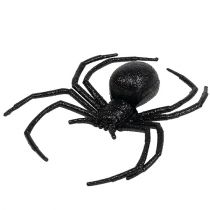 Araignée noire 16cm avec mica