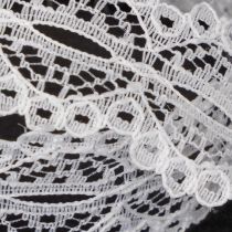 Article Ruban décoratif en coton à motif dentelle, enroulé sur un rouleau, idéal pour les loisirs créatifs et la décoration. Largeur : 25 mm. Longueur : 10 m.