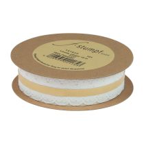 Article Ruban dentelle coeurs ruban décoratif dentelle blanc 25mm 15m