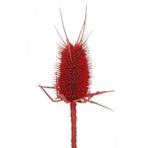 Article Cartes pointues rouges 1kg