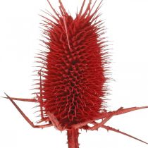 Article Cartes pointues rouges 1kg
