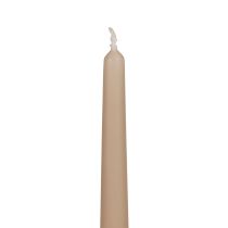 Article Bougies coniques Bougies Wenzel beige 250/23mm 12pcs