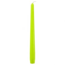 Article Bougies coniques 250/23 vert clair 12 pcs.