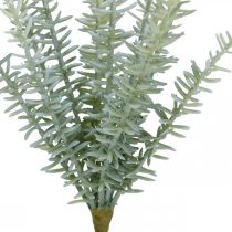 Sprengerie Asperges Ornementales Plantes Artificielles Vert 23cm 4pcs