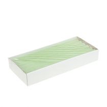 Article Bougies coniques de couleur unie vert lime 21×240mm 12 pcs